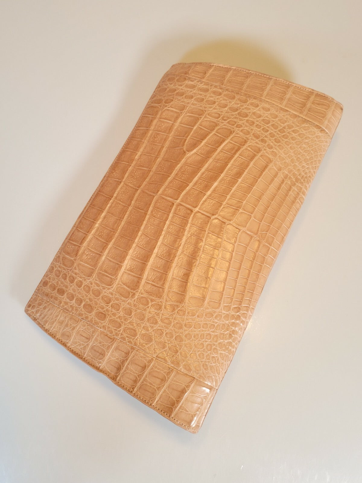 Nancy Gonzalez Embellished Caiman Leather Clutch in Brown and Tan