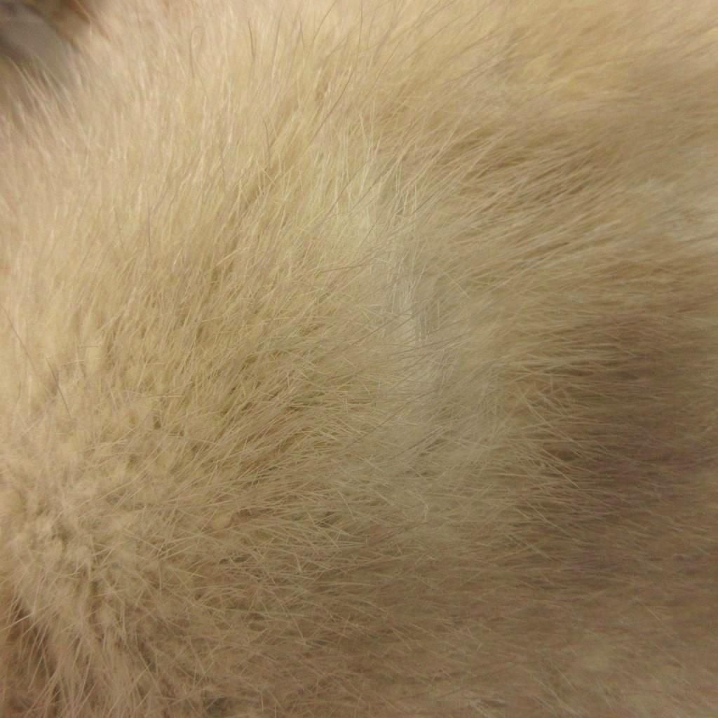 Logan Fur Saga Mink Coat
Beige Groomed Fur, Size XS