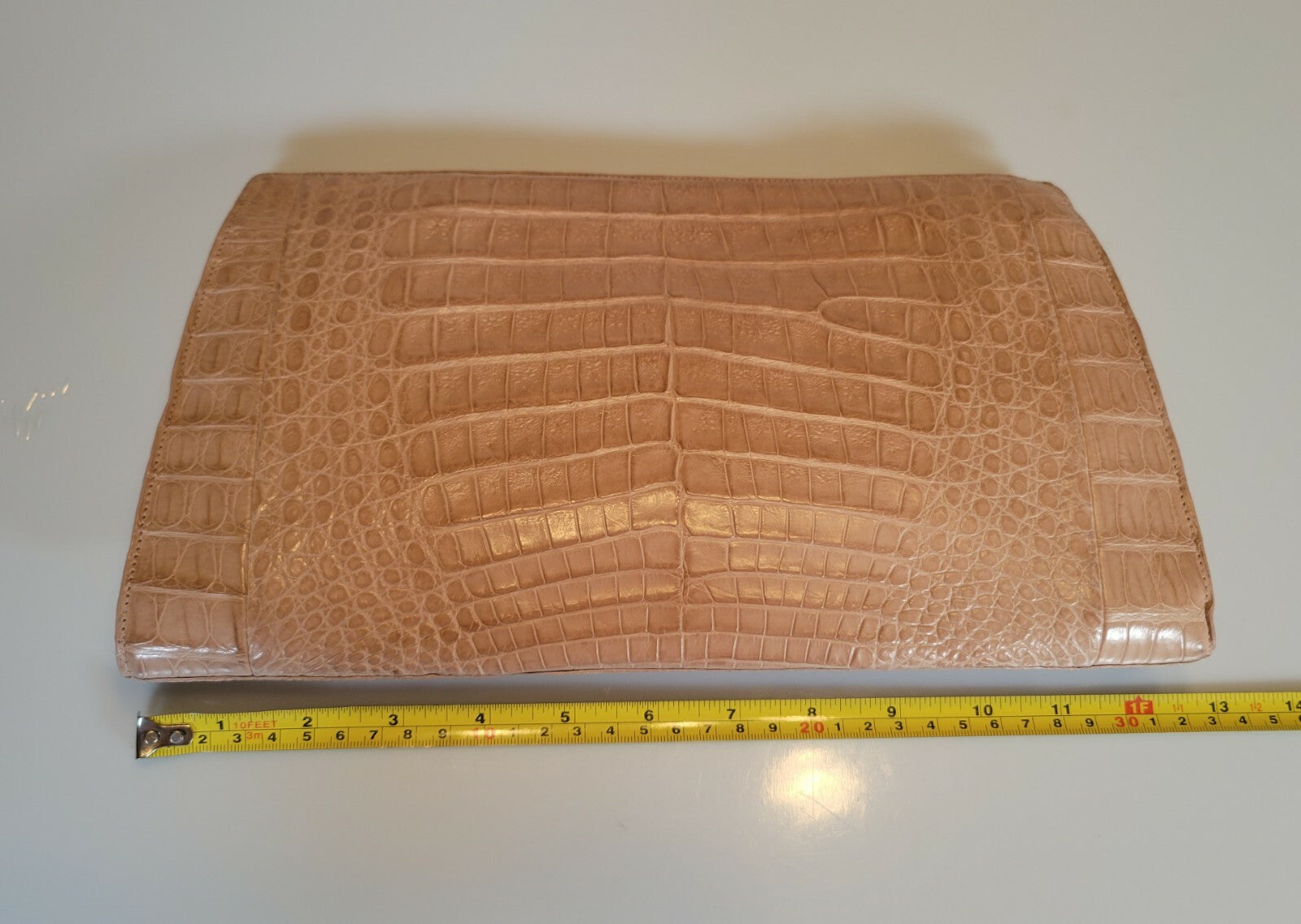 Nancy Gonzalez Embellished Caiman Leather Clutch in Brown and Tan