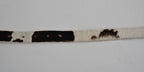 Vintage Gap Cow Hair Leather Belt, Made in USA