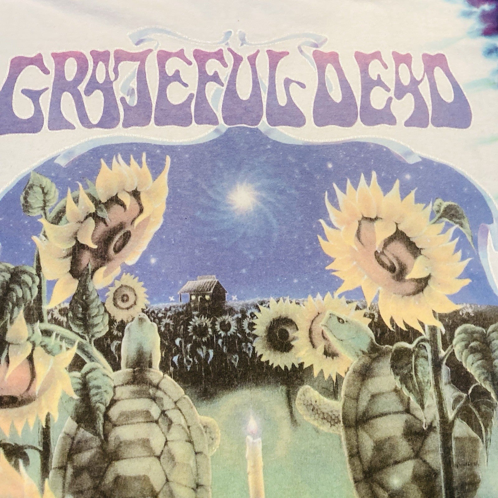 VTG Grateful Dead Liquid Blue Summer Tour ‘98 Turtles Sunflower Tie Dye M Tshirt