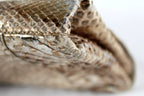NANCY GONZALEZ Metallic Silver & Gold Python Skin Long Clutch Bag
