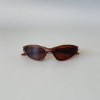 Oakley Mitute Brown Vintage Sunglasses Gorpcore USA Y2K Avantgarde Archive