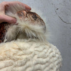 Vintage Y2K Cream Rabbit and Fox Fur Coat