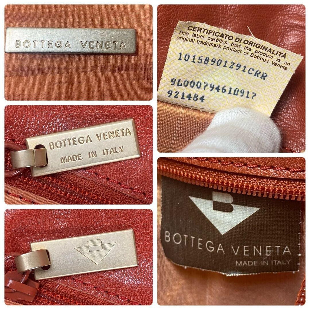 Bottega Veneta Embossed Python Leather Shoulder Bag