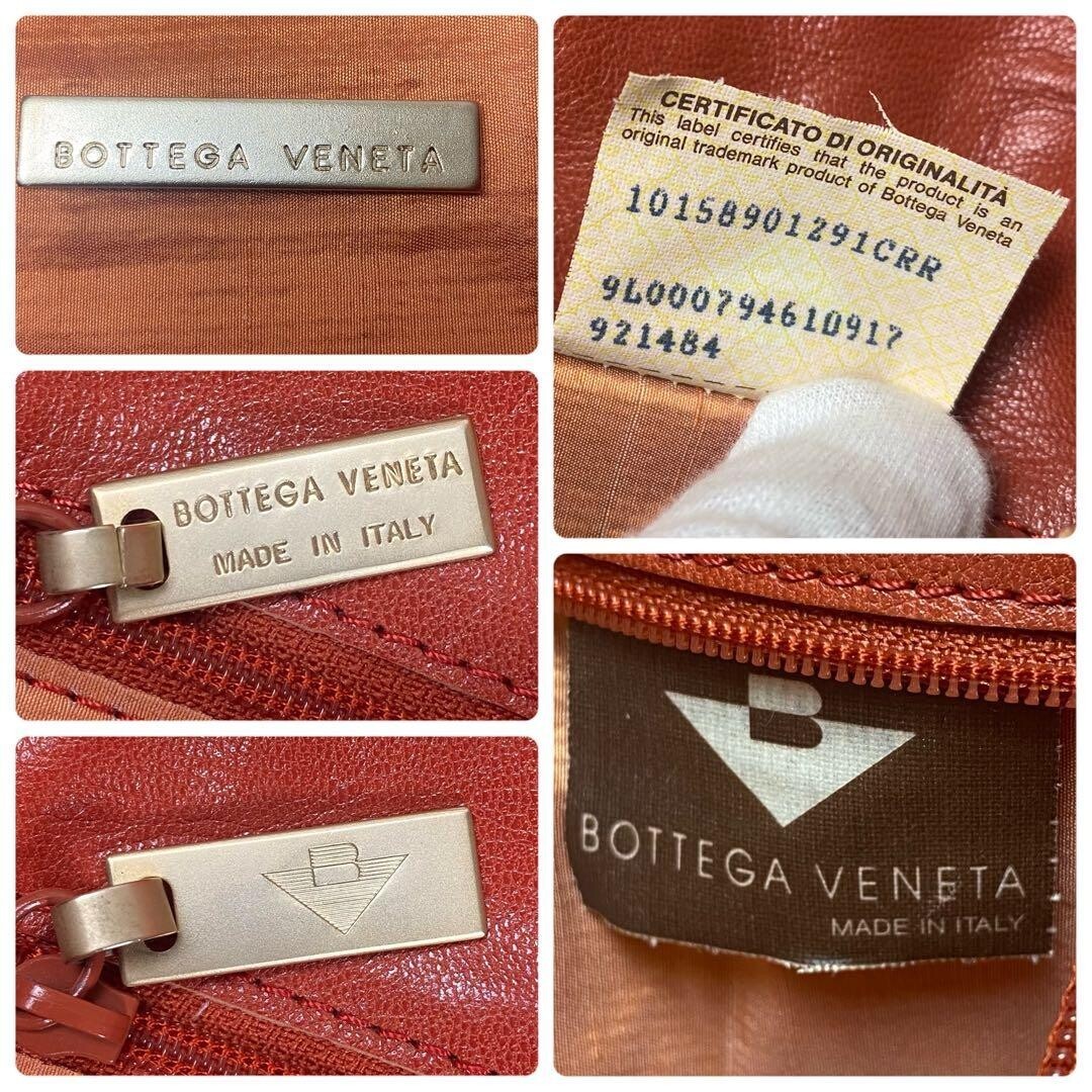 Bottega Veneta Embossed Python Leather Shoulder Bag