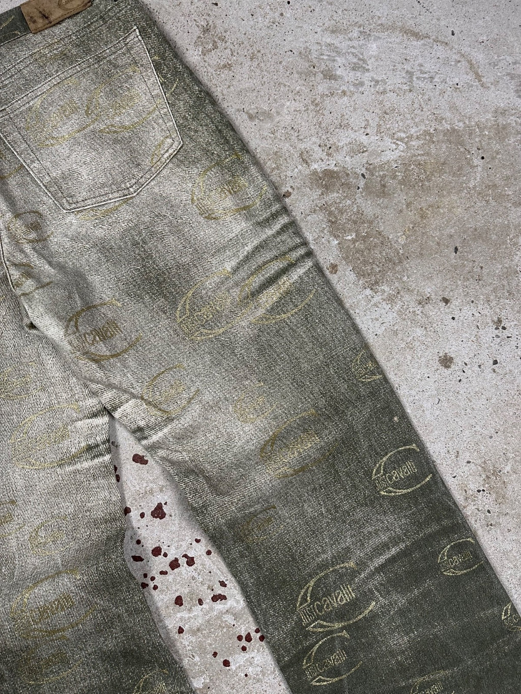 Vintage 2000s Roberto Just Cavalli Monogram Flare Denim Pant Bootcut Print
