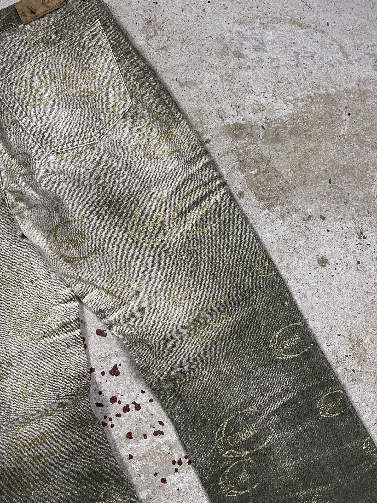 Vintage 2000s Roberto Just Cavalli Monogram Flare Denim Pant Bootcut Print