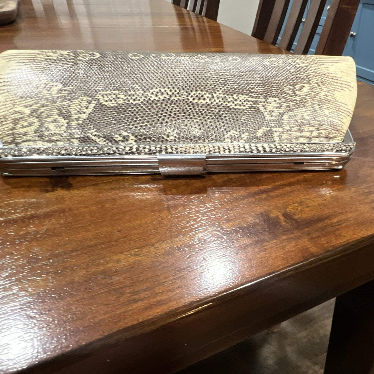 Vintage 1950s Monitor Lizard Skin Clutch Bag with Silver Frame