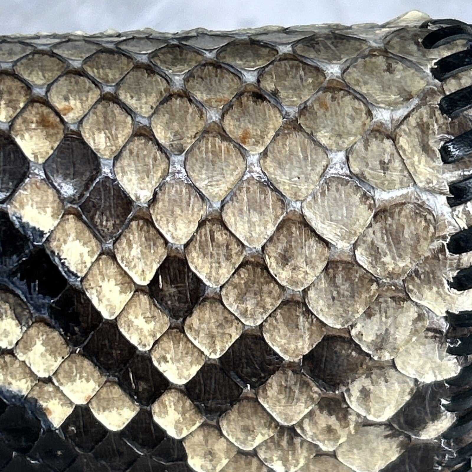 Vintage Handmade Python Skin Clutch Check Wallet With Pen Holder