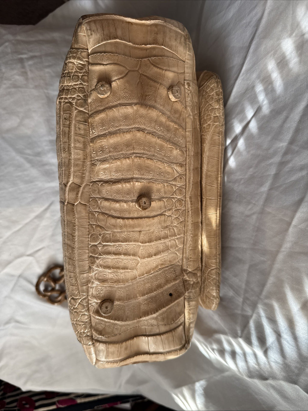 nancy gonzalez crocodile handbag