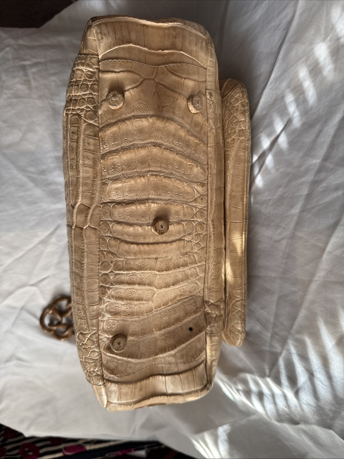 nancy gonzalez crocodile handbag