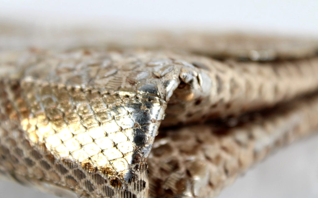 NANCY GONZALEZ Metallic Silver & Gold Python Skin Long Clutch Bag