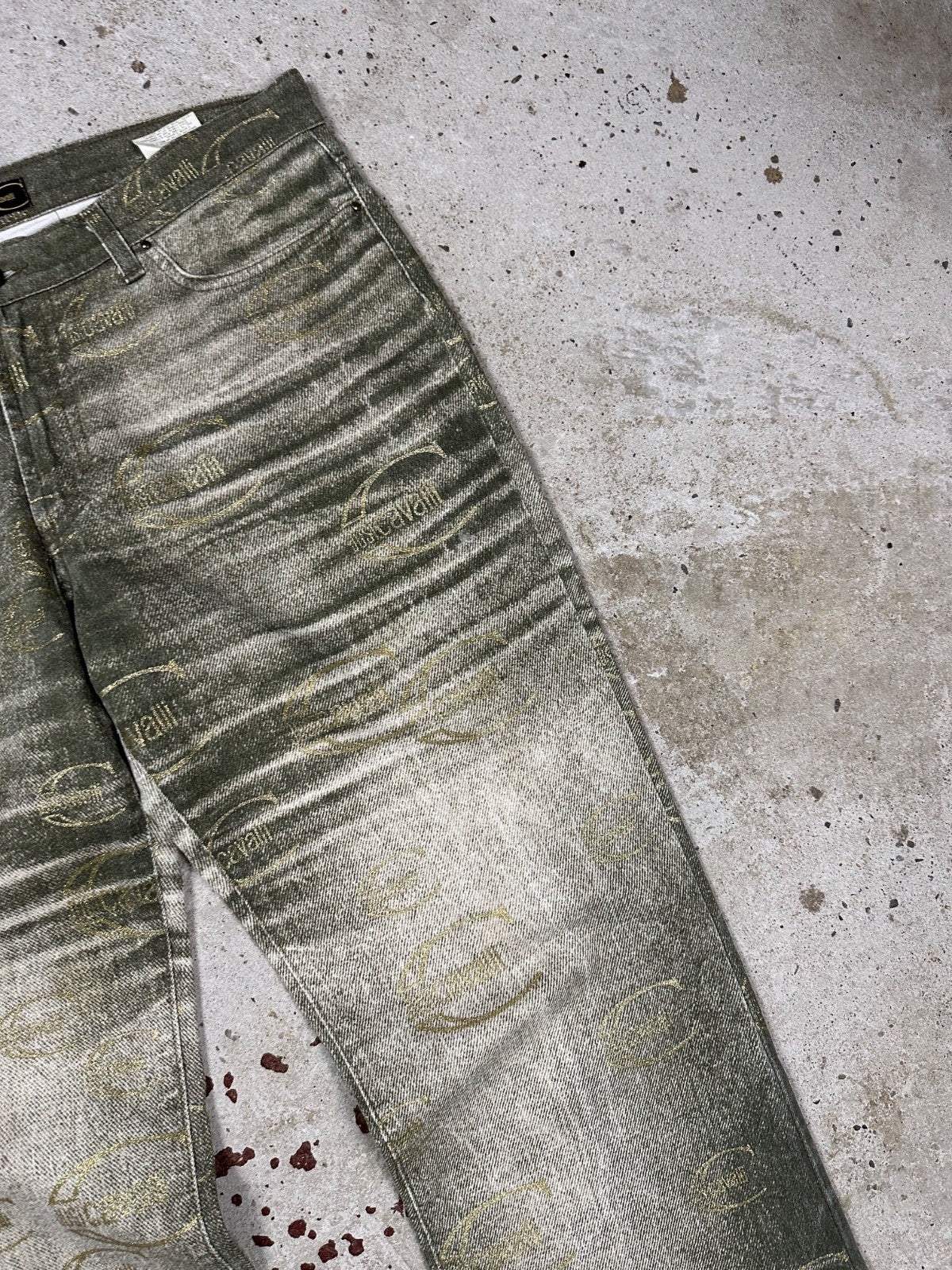 Vintage 2000s Roberto Just Cavalli Monogram Flare Denim Pant Bootcut Print