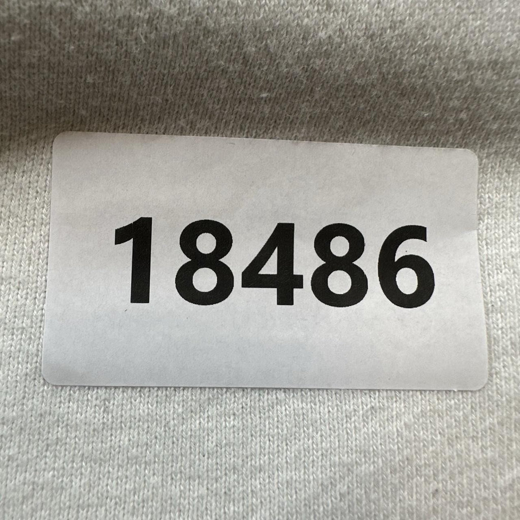 Vintage Adidas Hoodie Sweatshirt Mens XL White Blue Raglan Fleece 3 Stripes y2k