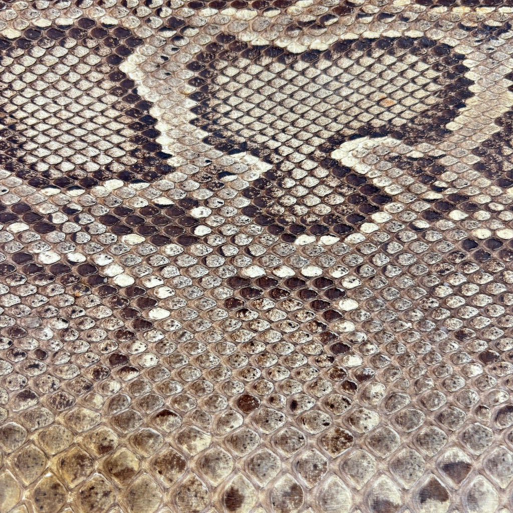 Vintage 1940s Genuine Python Snakeskin Clutch Purse Talon Hand Bag Exotic