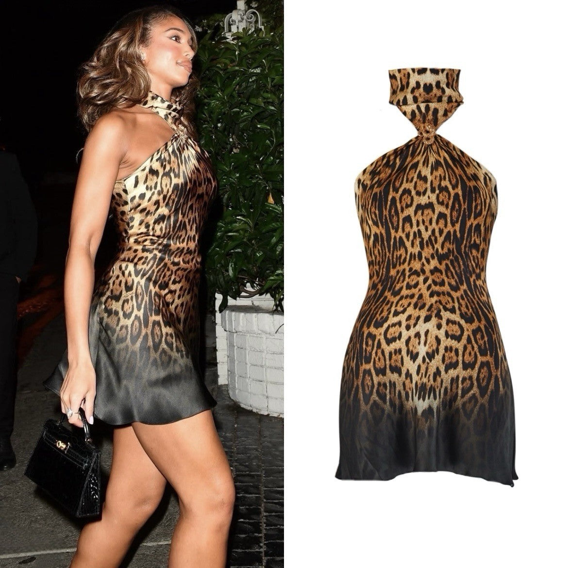 RARE! Roberto Cavalli S/S 2002 Silk Leopard Print Halter-neck Dress