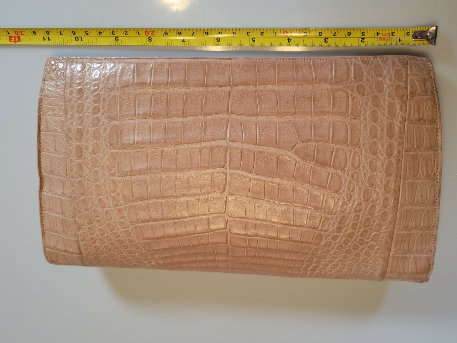 Nancy Gonzalez Embellished Caiman Leather Clutch in Brown and Tan